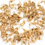 304 Gold Plated Stainless Steel End Tip Cover, Fold Over Crimp Bead, 50 pcs