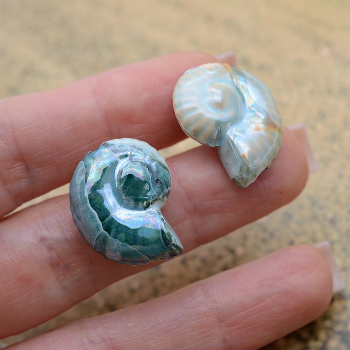 Ammonite Shell Ceramic Beads ~27:23mm Oasis Green color, 1 piece
