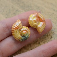 Ammonite Shell Ceramic Beads ~27:23mm Peach sorbet color, 1 piece
