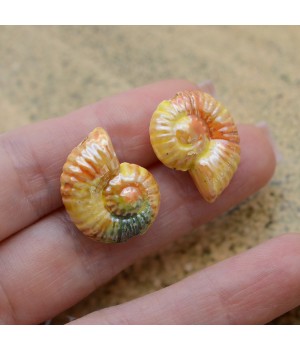 Ammonite Shell Ceramic Beads ~27:23mm Peach sorbet color, 1 piece