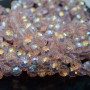 Хрустальные бусины 10мм алмазная огранка цвет Royal Pink, 1 нить(~68 бусин)