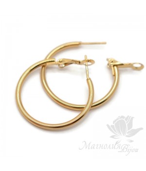 Hoop earrings 30:2mm steel, gold plated