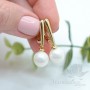 Cuentas de perla de concha 10mm semi-perforadas, color blanco