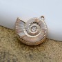 Ammonite Shell charm pendant plastic, 1 piece