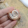 Ammonite Shell charm pendant plastic, 1 piece