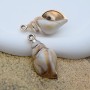 Shell charm pendant plastic, 1 piece