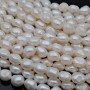Natural Cultured Freshwater Pearl ~9-11mm baroque freeform white color, 1 strand