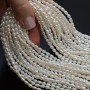 Perla cultivada A+ grano de arroz ~4-5mm color blanco, 1 tira