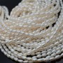 Perla cultivada A+ grano de arroz ~4-5mm color blanco, 1 tira