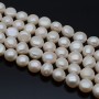 Baroque Flat Round pearls(Button) 9mm hite color, 1 strand 36cm