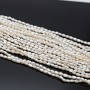 Perla natural cultivada A+ grano de arroz ~2-3mm color blanco, 1 tira 36cm