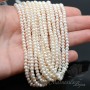 Pearls 3-4mm white, thread 36cm