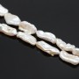 Biwa pearl white AAA 8~10:17~20mm, 1 bead