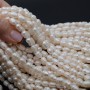 Perla cultivada grano de arroz ~5:8mm color blanco, 1 tira
