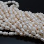 Perla cultivada grano de arroz ~5:8mm color blanco, 1 tira