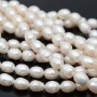 Perla cultivada grano de arroz ~8-9mm lisa blanca, tira 36cm