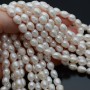 Perla cultivada grano de arroz ~8-9mm lisa blanca, tira 36cm