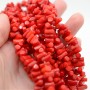 Coral Cylinder ~6:8mm red, thread 40cm