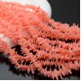 Coral natural color salmón 6~12:1~2mm, 1 tira 40cm