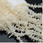 Coral natural color blanco 7~16:2~3mm, 1 tira 40cm