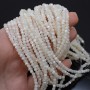 Natural Trochus Shell Beads 3mm round color white, strand 40cm