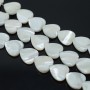 Natural Trochus Shell Beads Strands Heart 15mm, white color