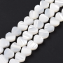 Natural Trochus Shell Beads Strands Heart ~6mm, white color