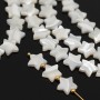 Star bead ~10mm white mother-of-pearl