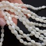 Cuenta Pajarito, nácar(madre perla) blanco