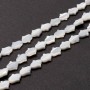 Natural Trochus Shell Beads Strands Hand 10:8mm, white color
