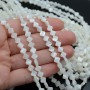 Natural Trochus Shell Beads Clover ~6mm white color, 10 beads