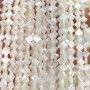 Natural Trochus Shell Beads Clover ~6mm white color, 10 beads