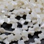 Natural Trochus Shell Beads Clover ~12mm white color, 2 beads