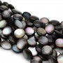 Natural Trochus Shell Beads Coin ~12mm black color, 10 beads