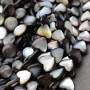 Natural Trochus Shell Beads Coin ~10mm black color, 10 beads