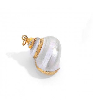 Concha natural 22~34mm forma espiral con revestimiento galvánico