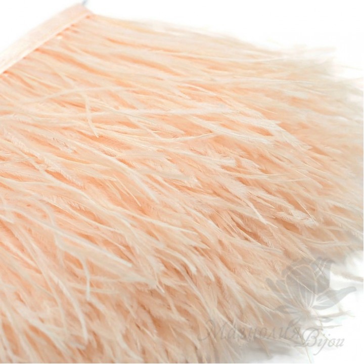 Ostrich feathers on Champagne ribbon, 10cm