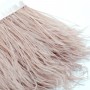 Ostrich Feathers on Ash Rose Ribbon, 10cm