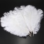 Marabou feather 15-20cm, white