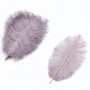 Pluma de marabu "Púrpura" 15-20cm, 1 und.