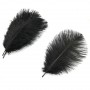 Marabou feather 15-20cm, black