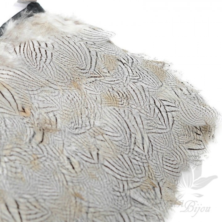 Feathers of a wild drake on a ribbon, 10cm