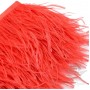 Ostrich feathers on ribbon Red, 10cm