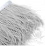 Ostrich feathers on ribbon Grey, 10cm
