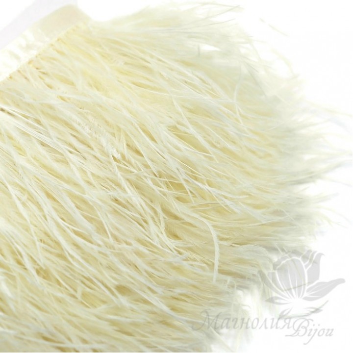 Ostrich feathers on Ivory ribbon, 10cm