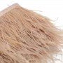 Ostrich Feathers on Camel Ribbon, 10cm