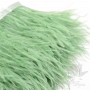 Ostrich feathers on ribbon Light Green, 10cm