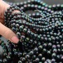 Perlas de concha 6mm, color pavo real negro