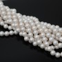 Tira de perla de concha 6 o 8mm, color blanco 