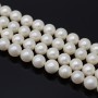Tira de 45 cuentas de perla de concha 8mm, color blanco pearlescent